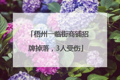 梧州一临街商铺招牌掉落，3人受伤