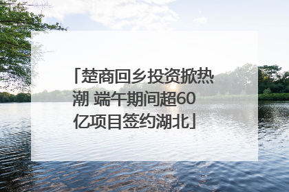 楚商回乡投资掀热潮 端午期间超60亿项目签约湖北