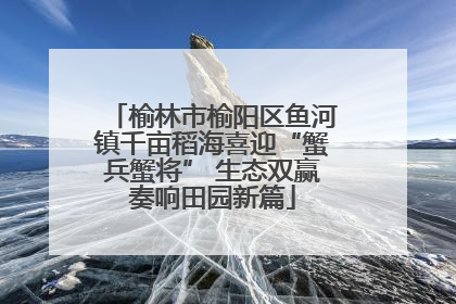 榆林市榆阳区鱼河镇千亩稻海喜迎“蟹兵蟹将” 生态双赢奏响田园新篇