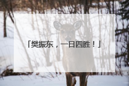 樊振东，一日四胜！