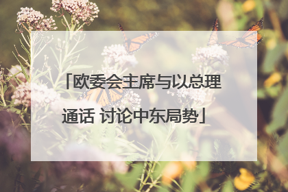 欧委会主席与以总理通话 讨论中东局势