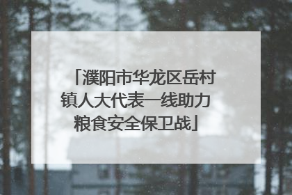 濮阳市华龙区岳村镇人大代表一线助力粮食安全保卫战