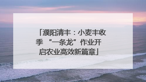 濮阳清丰：小麦丰收季 “一条龙”作业开启农业高效新篇章