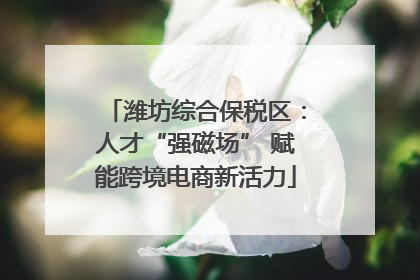 潍坊综合保税区：人才“强磁场” 赋能跨境电商新活力