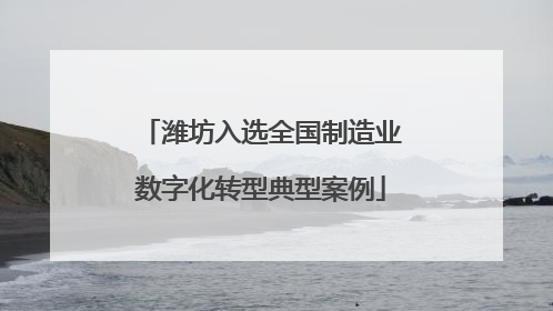 潍坊入选全国制造业数字化转型典型案例