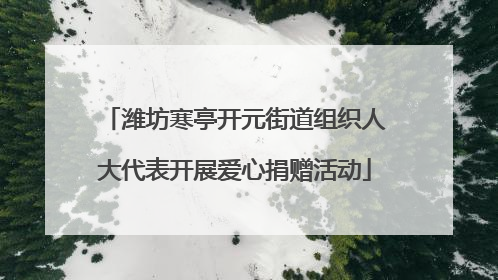 潍坊寒亭开元街道组织人大代表开展爱心捐赠活动