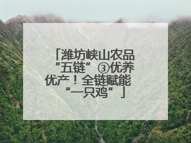 潍坊峡山农品“五链”③优养优产！全链赋能“一只鸡”