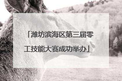 潍坊滨海区第三届零工技能大赛成功举办
