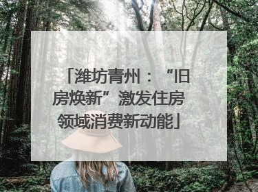 潍坊青州：“旧房焕新”激发住房领域消费新动能