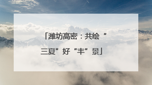 潍坊高密：共绘“三夏”好“丰”景