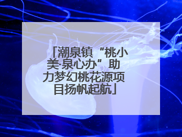 潮泉镇“桃小美·泉心办”助力梦幻桃花源项目扬帆起航