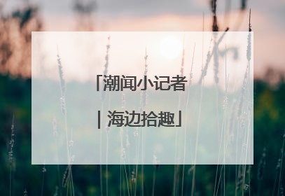 潮闻小记者｜海边拾趣