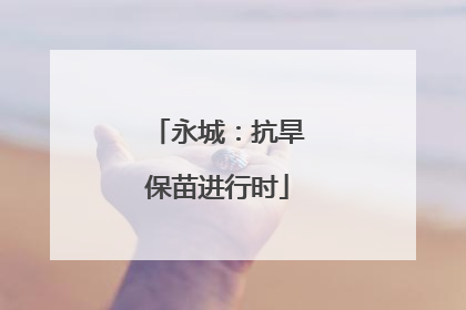永城：抗旱保苗进行时