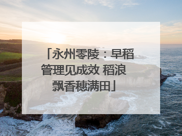 永州零陵：早稻管理见成效 稻浪飘香穗满田