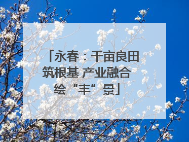 永春：千亩良田筑根基 产业融合绘“丰”景