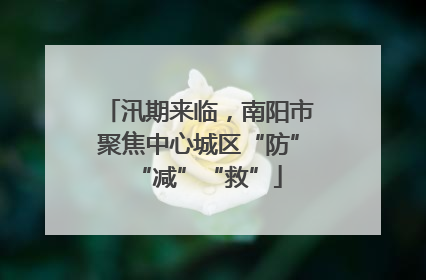 汛期来临，南阳市聚焦中心城区“防”“减”“救”