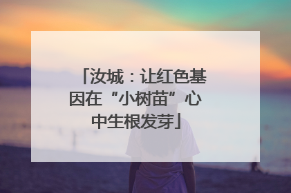 汝城：让红色基因在“小树苗”心中生根发芽