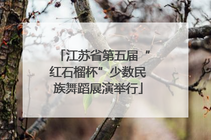 江苏省第五届“红石榴杯”少数民族舞蹈展演举行