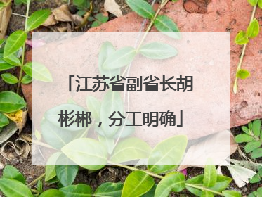 江苏省副省长胡彬郴，分工明确