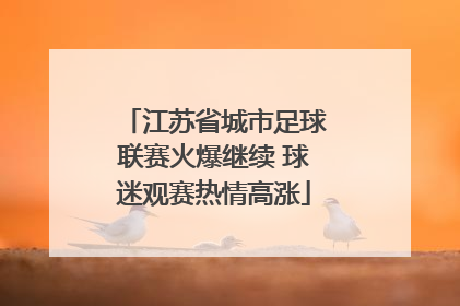江苏省城市足球联赛火爆继续 球迷观赛热情高涨