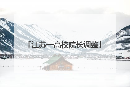 江苏一高校院长调整