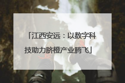 江西安远：以数字科技助力脐橙产业腾飞