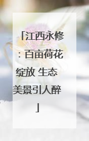 江西永修：百亩荷花绽放 生态美景引人醉