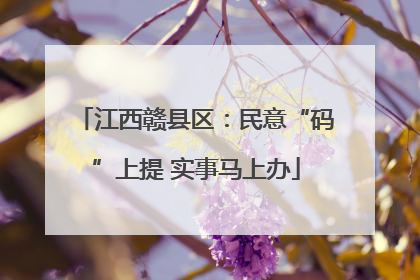 江西赣县区：民意“码”上提 实事马上办