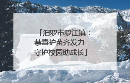 汨罗市罗江镇：禁毒护苗齐发力 守护校园助成长