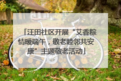 汪田社区开展“艾香粽情暖端午，敬老睦邻共安康”主题敬老活动