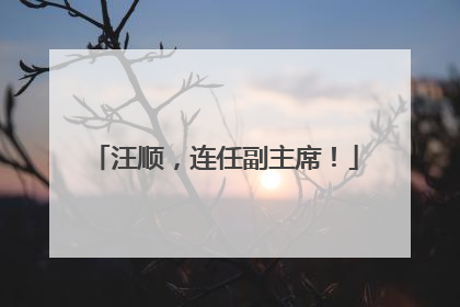 汪顺，连任副主席！