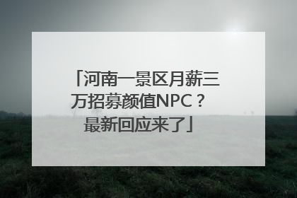河南一景区月薪三万招募颜值NPC？最新回应来了