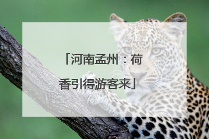 河南孟州：荷香引得游客来