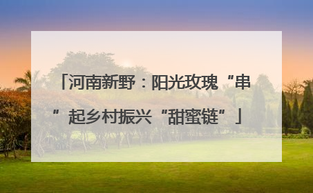 河南新野：阳光玫瑰“串”起乡村振兴“甜蜜链”