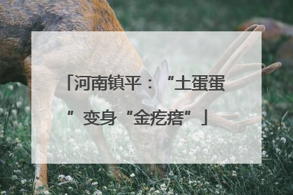 河南镇平：“土蛋蛋”变身“金疙瘩”
