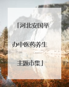 河北安国举办中医药养生主题市集