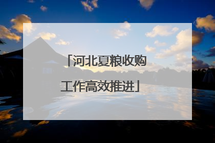 河北夏粮收购工作高效推进
