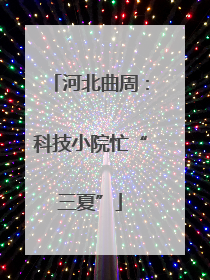 河北曲周：科技小院忙“三夏”