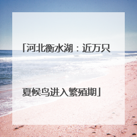 河北衡水湖：近万只夏候鸟进入繁殖期