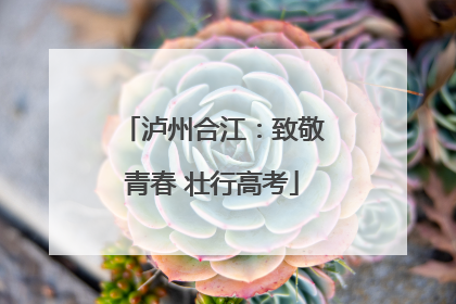 泸州合江：致敬青春 壮行高考