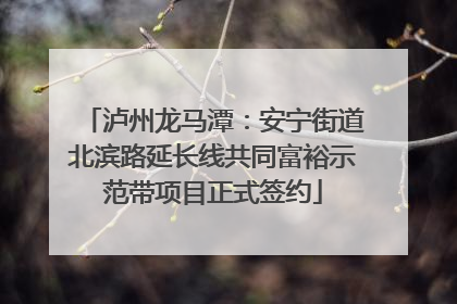 泸州龙马潭：安宁街道北滨路延长线共同富裕示范带项目正式签约
