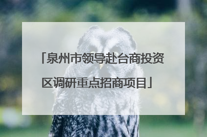 泉州市领导赴台商投资区调研重点招商项目