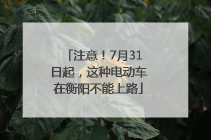 注意！7月31日起，这种电动车在衡阳不能上路