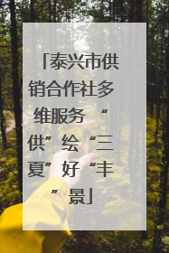 泰兴市供销合作社多维服务 “供”绘“三夏”好“丰”景
