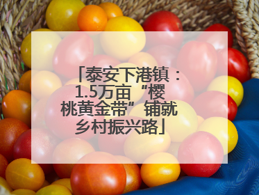 泰安下港镇：1.5万亩“樱桃黄金带”铺就乡村振兴路