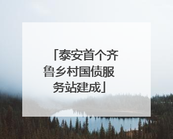 泰安首个齐鲁乡村国债服务站建成
