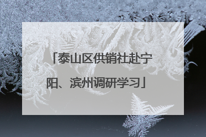 泰山区供销社赴宁阳、滨州调研学习
