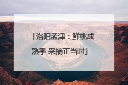 洛阳孟津：鲜桃成熟季 采摘正当时