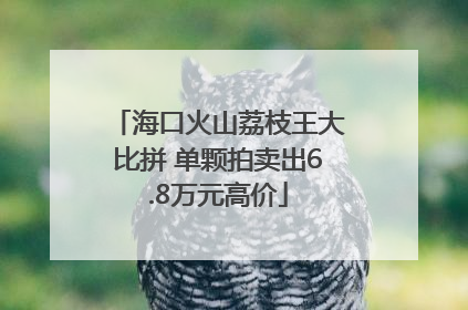 海口火山荔枝王大比拼 单颗拍卖出6.8万元高价