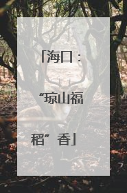 海口：“琼山福稻”香
